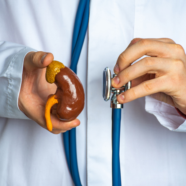 Nephrology