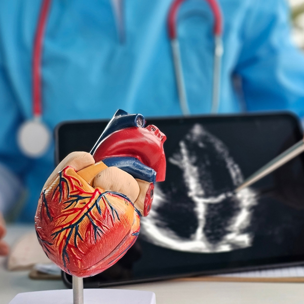 Cardiology